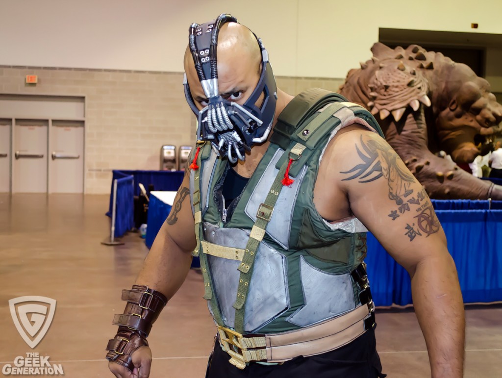 RICC 2013 - Bane