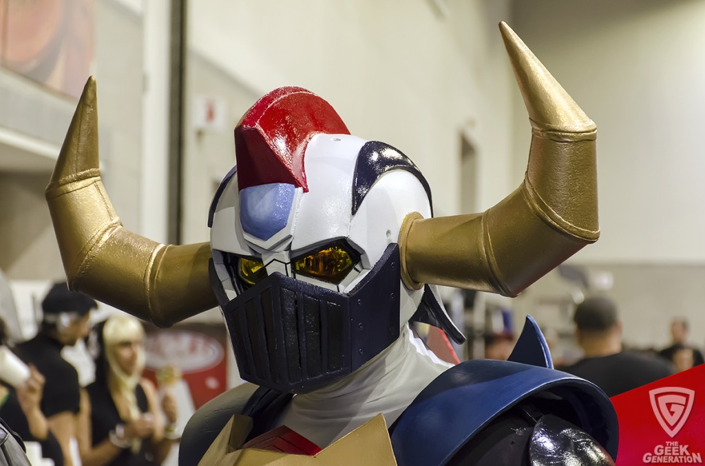 RICC 2014 - Gaiking head