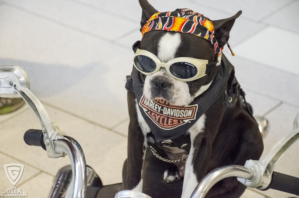 SDCC 2015 - dog on a motorcycle